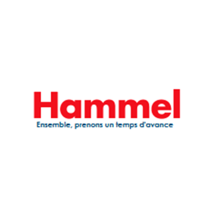 Logo Hammel